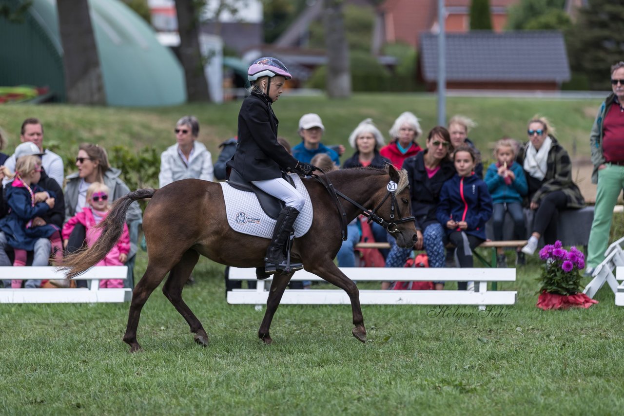 Bild 23 - Pony Akademie Turnier